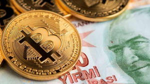 Bitcoini Türk Lirasına Çevirmek, Geniş bir inceleme
