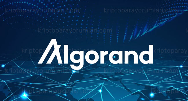 algo coin geleceği