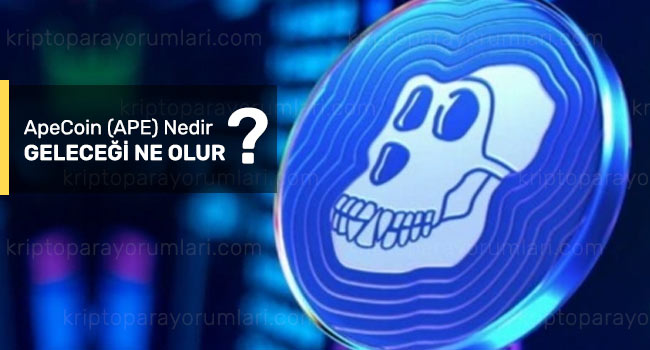 apecoin nedir, geleceği, yorum