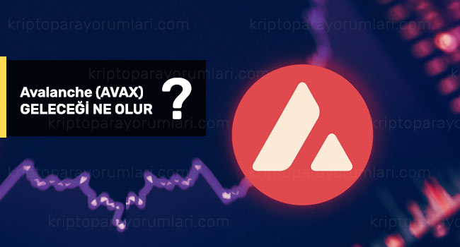 avax coin geleceği