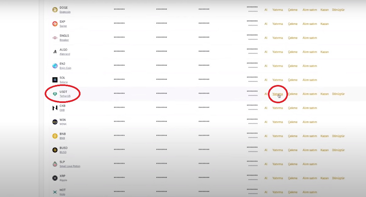 usdt yatırma