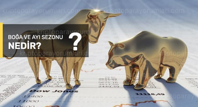 boğa ve ayı sezonu nedir