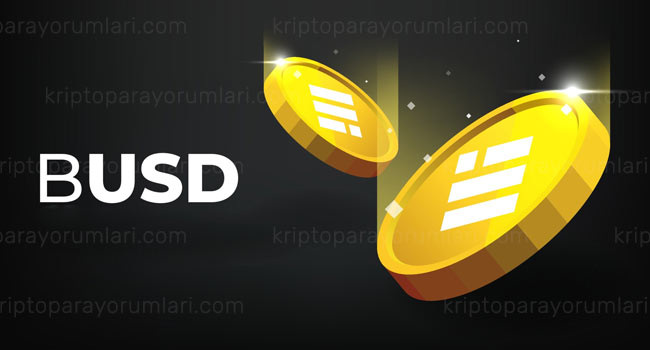 busd nedir, geleceği ve yorumlar