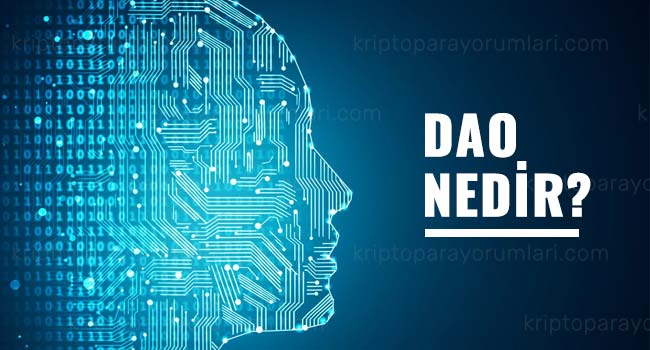 dao nedir