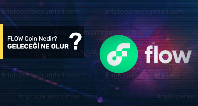 flow coin geleceği