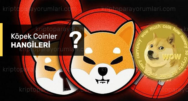 Köpek Coinler Hangileri? En Popüler Köpek Temalı Coinler köpek coinler