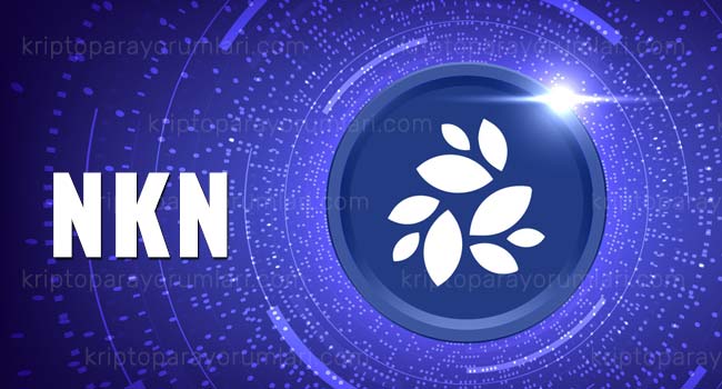 nkn coin yorum