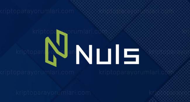 NULS (NULS) Coin Nedir? NULS Coin Yorum, Fiyat Tahminleri ve NULS Coin Geleceği 2023-2026 nuls coin yorum