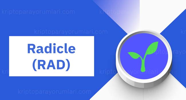 Radicle (RAD) Coin Nedir? RAD Coin Yorum, Fiyat Tahminleri ve RAD Coin Geleceği rad coin yorum