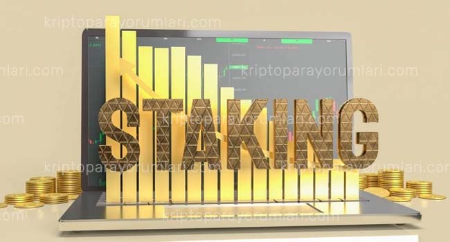 Stake Etmek (Staking) Nedir? Nasıl Staking Yapılır?