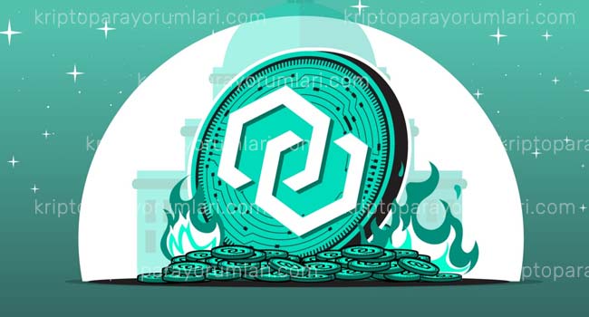 xcn coin yorum